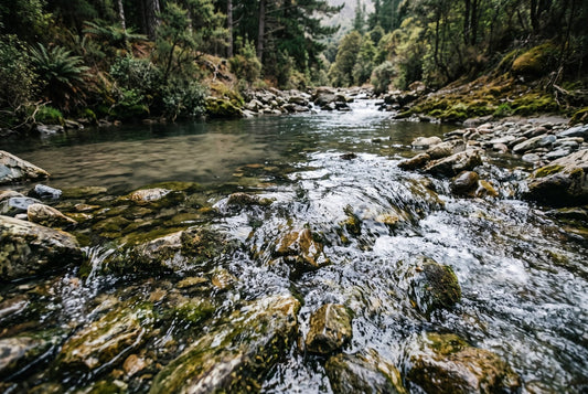 Clear stream water running over mossy rocks