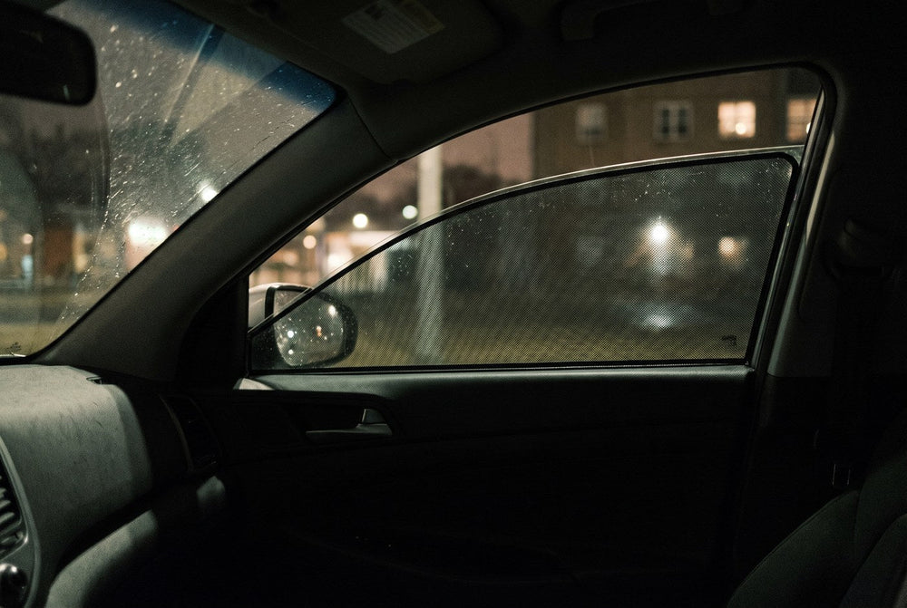 A car window cracked open with a fine mesh screen across the gap, seen from inside at night